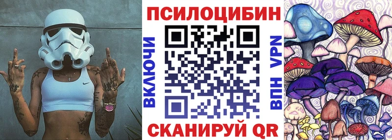 блэк спрут ONION  Красногорск  Галлюциногенные грибы Cubensis 
